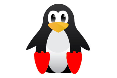 Linux Hosting Provider in Noida