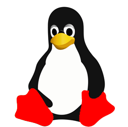 Linux Hosting Company in Noida Delhi NCR India